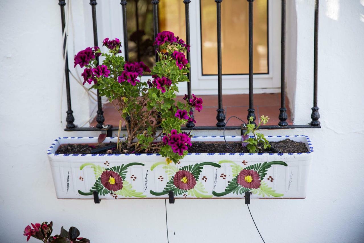 Bed and Breakfast Fuego Blanco Эль-Чорро Экстерьер фото